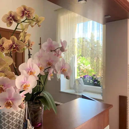 Ambasador Jastrzębia Góra