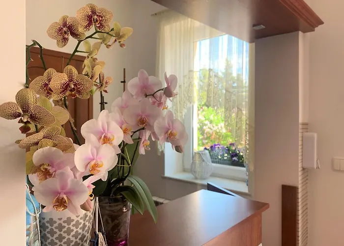 Ambasador Jastrzębia Góra